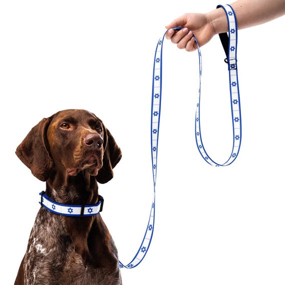 Jewish pet collar & leash