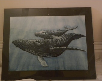 Baleine à bosse avec le veau. Aquarelle 28 x 35cm art animalier des mers