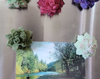 Set of 5 Faux Succulent Refrigerator Magnets/ Boho Magnet Set  Plant Lover Gift Set/ Teacher Gift/ Dorm Decoration/ School Organization