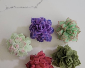 Set of 5 Faux Succulent Refrigerator Magnets/ Boho Magnet Set / Plant Lover Gift Set/ Housewarming Gift/ Cute Office Supplies/ Pretty Magnet