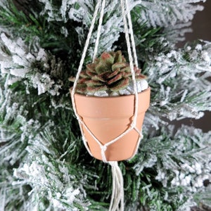 Könnte beinhalten: Ein kleiner Terrakotta-Topf mit einer grünen und roten Filz-Sukkulente, die an einem weißen Makramee-Hänger hängt. Der Topf hängt an einem schneebedeckten künstlichen Weihnachtsbaum.