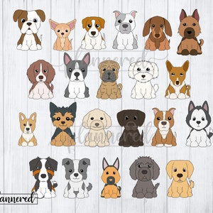 Puede incluir: Una colecci&oacute;n de 20 ilustraciones de perros de dibujos animados en varias razas y poses. Los perros est&aacute;n todos sentados y mirando hacia adelante. Las ilustraciones est&aacute;n en un estilo de dibujos animados simple con colores brillantes.