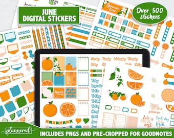 June Digital Stickers, June Monthly Goodnotes Stickers, 500+ digital planner stickers for June, Summer Orange 2022 goodnotes digital set