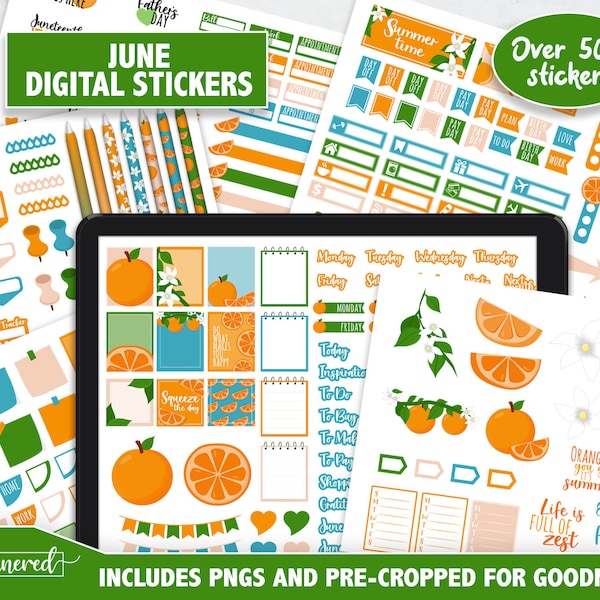 June Digital Stickers, June Monthly Goodnotes Stickers, 500+ digital planner stickers for June, Summer Orange 2022 goodnotes digital set
