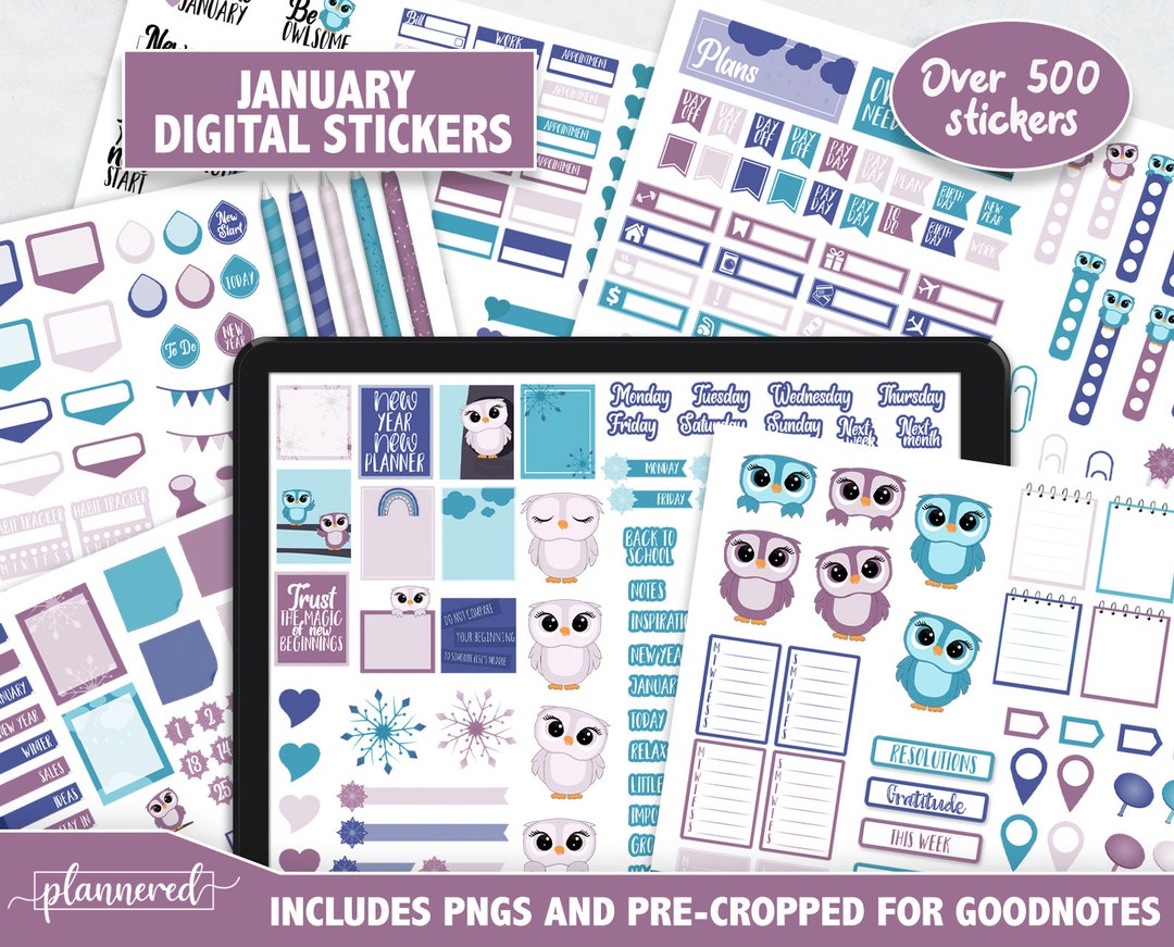January Digital Stickers, 2022 Goodnotes Stickers, 500+ Digital Planner ...