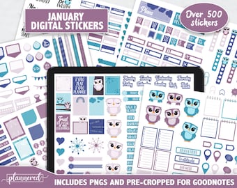 January Digital Stickers, 2022 Goodnotes Stickers, 500+ digital planner stickers for January, January ipad Precropped goodnotes stickers