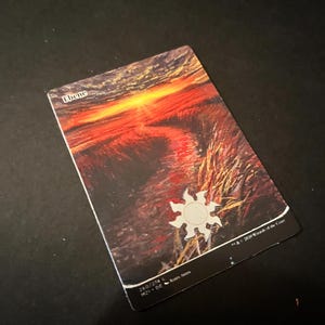 Copia della carta MTG Plains Island Mountain Swamp Forest dall'originale opera d'arte dipinta a mano e modificata