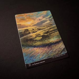 Copia della carta MTG Plains Island Mountain Swamp Forest dall'originale opera d'arte dipinta a mano e modificata