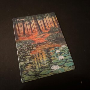 Copia della carta MTG Plains Island Mountain Swamp Forest dall'originale opera d'arte dipinta a mano e modificata