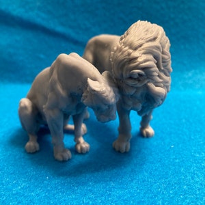 Lions Cuddling - Unpainted - Animal Den Miniatures - 3D Resin Printed