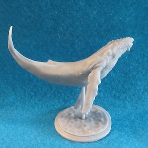 Humpback Whale - 3D Resin Printed - Unpainted - Animal Den Miniatures