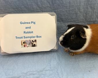 Leckerli-Sammlerbox für Kleintiere, Meerschweinchen, Kaninchen, Futter