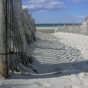 Postal de la playa de Nauset // Paseo marítimo // Cape Cod // Náutico