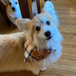 Plaid personalized  Dog and Cat Bandana