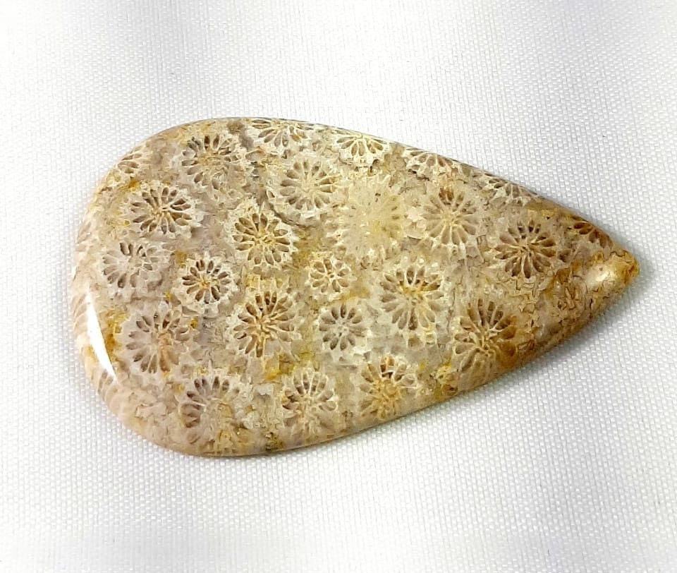 67 Carat Natural Fossil Coral Jasper Cabochon Beautiful Fossil Coral Gemstone Pear Shape Fossil