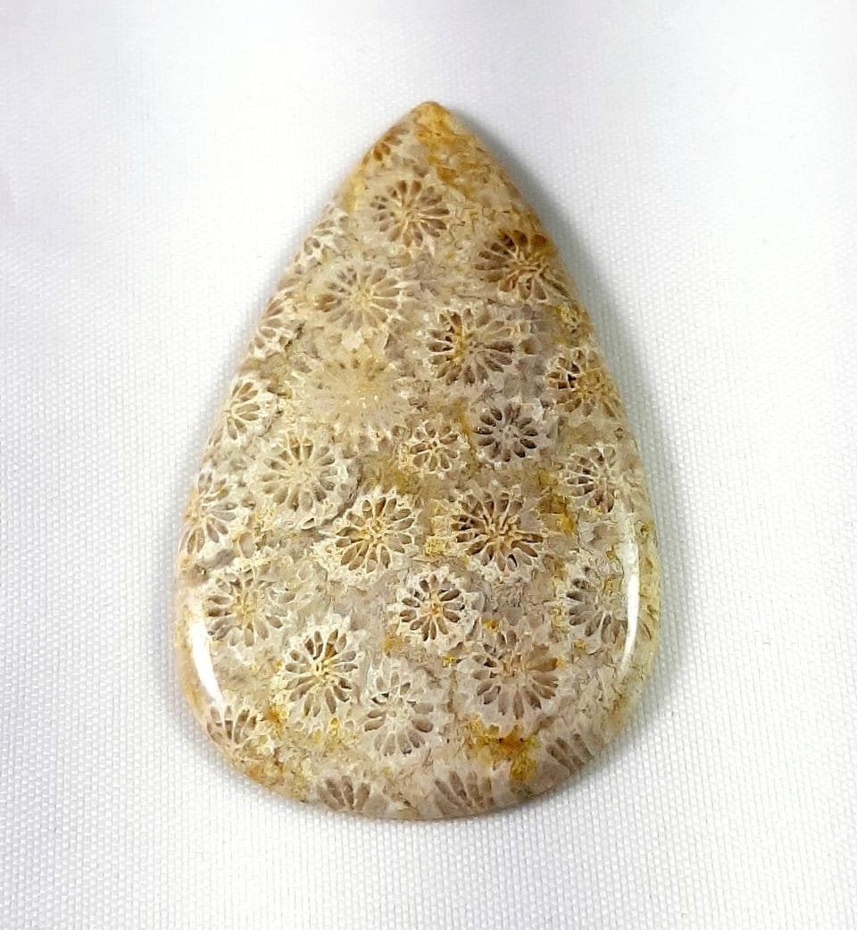 67 Carat Natural Fossil Coral Jasper Cabochon Beautiful Etsy