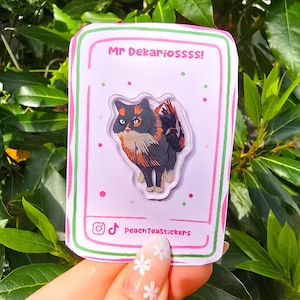 Tara Pin, Baldur’s Gate 3 Tara Pin, Baldur’s Gate 3 Pin, Tressym Pin, Gaming Pin, Pop Culture Pin