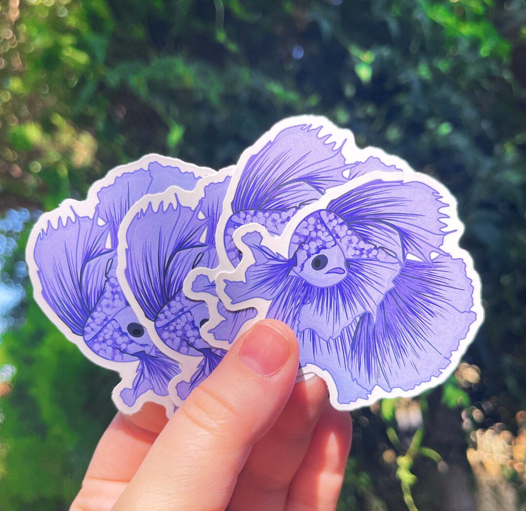 Betta Fish Sticker, Ocean Wildlife Sticker - Etsy