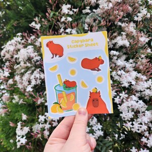Capybara Sticker Sheet, Capybara Sticker, Tier Sticker, Süßer Sticker, Süßer Capybara, Süßer Sticker Bogen, Spaß Sticker Sheets