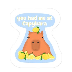 You has me at Capybara Bubble-free sticker, Capybara Sticker, Animal Sticker, Cute Sticker, Cute Capybara