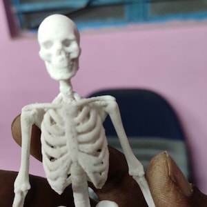 6&quot; Custom Skelly Skeleton Diorama Prop Halloween 3D Printed unpainted Model Statue Figure