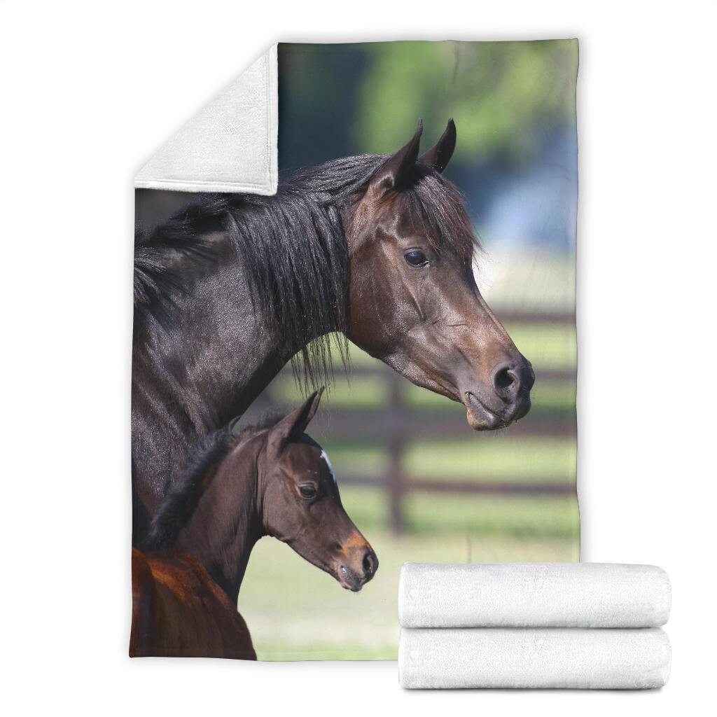 Bay Arab Mother and Baby Horse Fleece Blanket Brown and Etsy