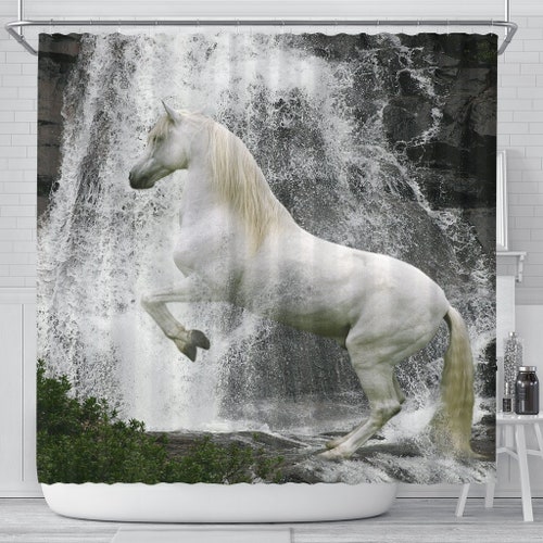Palomino on the Beach Horse Shower Curtain Etsy