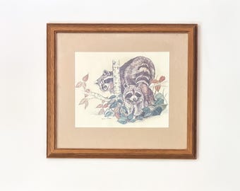 Gerahmter Waschbär-Kunstdruck von Lynn Bean – Vintage-Illustration von Wildtieren, Waldtierbild im Holzrahmen – Hüttendekoration