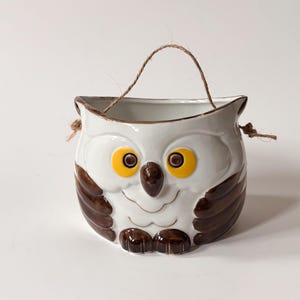 May include: A ceramic owl-shaped planter with a white base, brown wings, and yellow eyes. The planter has a brown rim and a jute rope handle for hanging. The owl's face is detailed with a beak and feet.