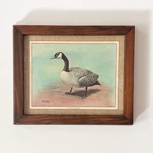Op de afbeelding: Een ingelijste print van een Canadese gans die op een lichtbruine ondergrond staat tegen een lichtblauwe achtergrond. Het kunstwerk is gesigneerd met Bob Hines 73 en gelabeld met Canada Goose. De lijst is van donkerbruin hout met een beige stoffen rand.