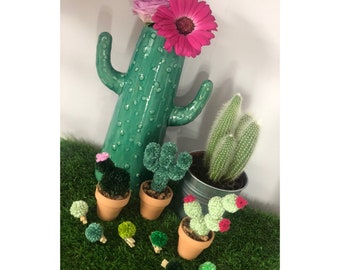 1x Pom Pom Cactus Suculent Planta de su elección - Gran decoración del hogar