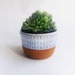 see more listings in the Pots and Planters section