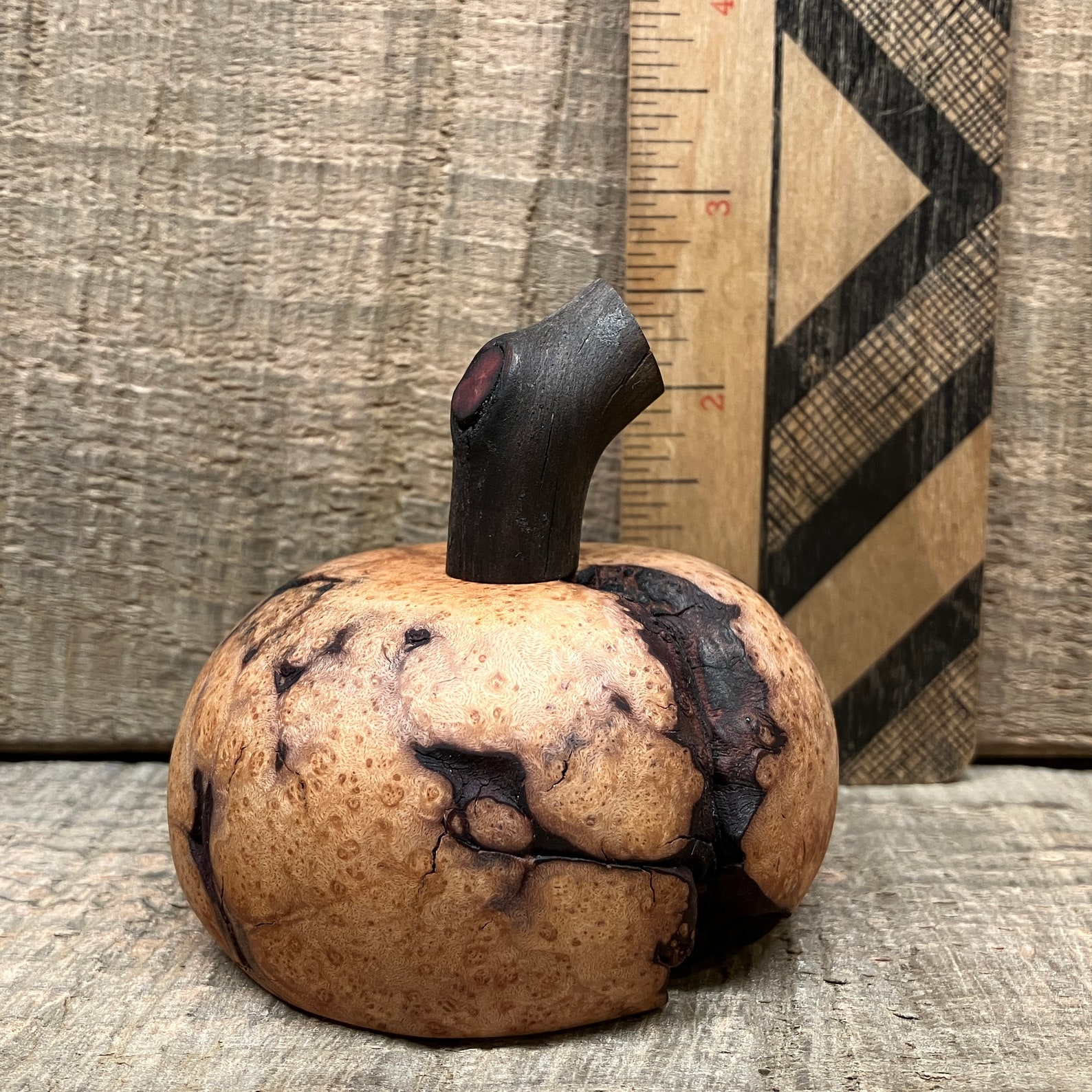 Small Manzanita Root Burl gourdkin Root Burl Etsy