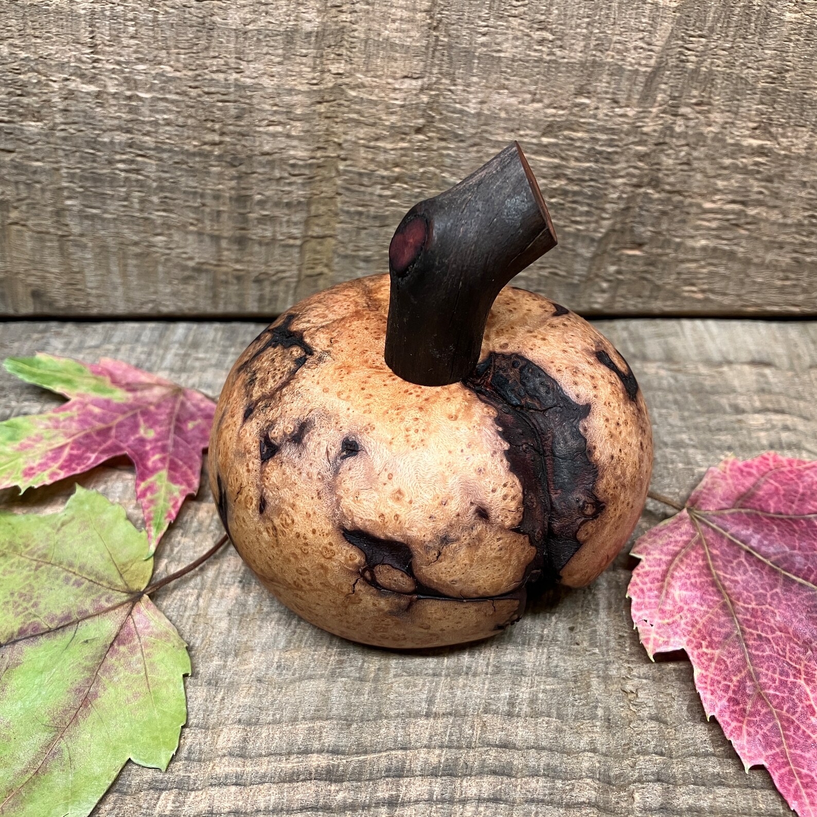 Small Manzanita Root Burl gourdkin Root Burl Etsy