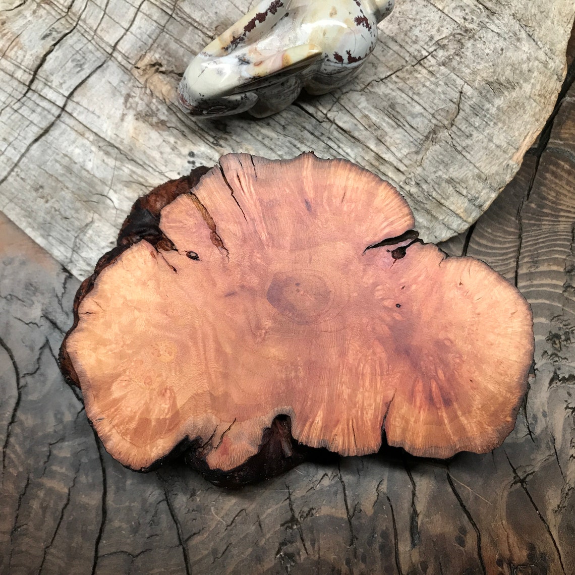 Finished Manzanita Root Burl PieceBurl Display Etsy