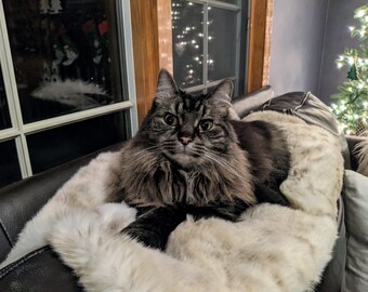 cat fur blanket
