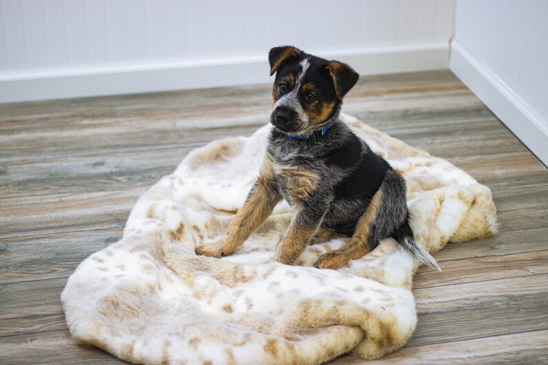 Faux Fur Dog Blanket Pet Bedding Animal Throw Rabbit Print Etsy