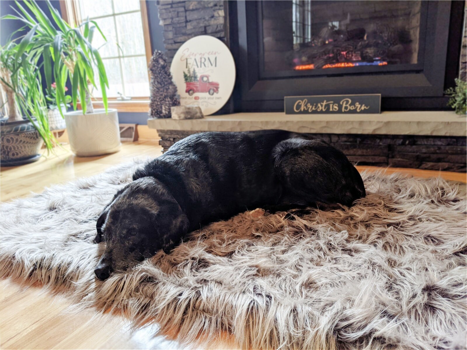 Fur Dog Blanket Faux Fur Pet Bedding Blanket Animal Throw - Etsy