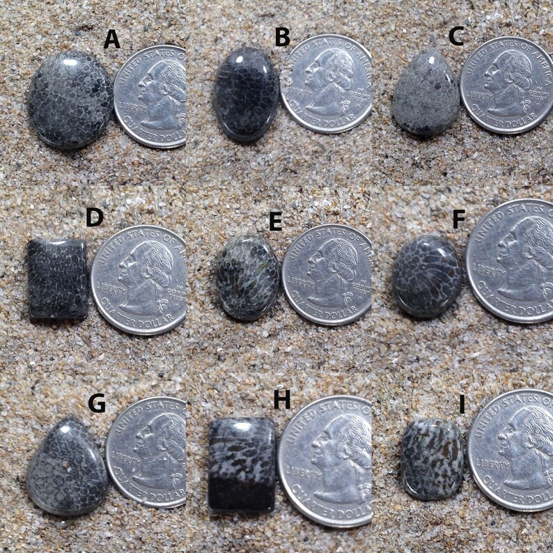 Black Fossil Cabochon Mix Shapes /& Sizes coral Cabochons Natural Black Fossil coral Gemstone High Grade Black Fossil coral Loose stone