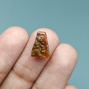 Natural Fire Agate Raw (Polished) | FireAgate Gemstone for Jewelry | 13x9x3 mm. | 3 Ct. | E2695