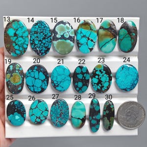 Può includere: Una collezione di diciotto cabochon di turchese ovali disposti in tre file su un espositore bianco, numerati da 13 a 30. Ogni pietra presenta motivi a matrice blu, verdi e neri unici. Una moneta da un quarto di dollaro è posta accanto alla pietra 30.