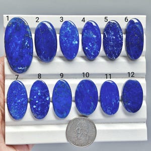 Puede incluir: Doce cabujones de lapislázuli azul de forma ovalada dispuestos en dos filas sobre un expositor blanco, numerados del uno al doce. Una moneda de veinticinco centavos de dólar estadounidense se sitúa en la parte inferior como referencia.