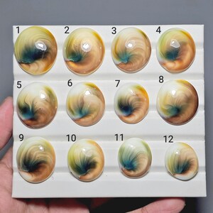 May include: A white display tray holding twelve oval-shaped cabochons, each featuring a swirling pattern of cream, tan, and deep blue-green colors. The items are arranged in three rows and numbered one through twelve in black text above each piece.