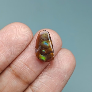 May include: A small, polished ammolite gemstone with a teardrop shape, displaying iridescent flashes of green, gold, and blue colors against a deep reddish-brown base. The surface features a distinct, natural organic texture and pattern.