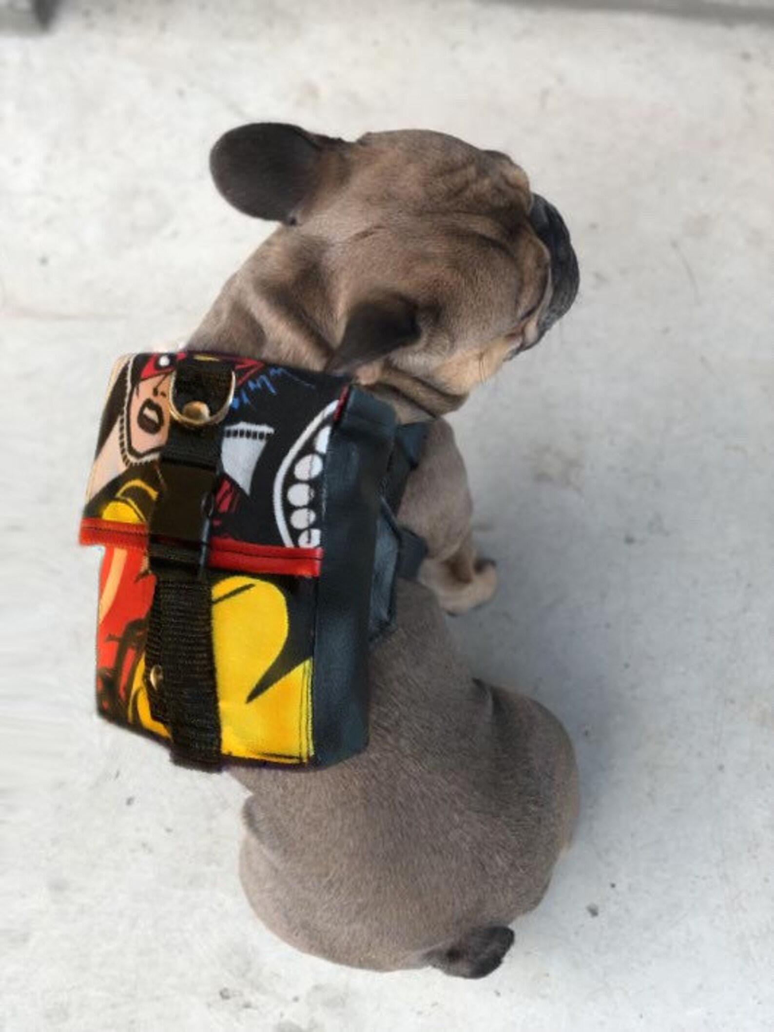 Special Edition Marvel Avengers Dog Harness Backpack / | Etsy