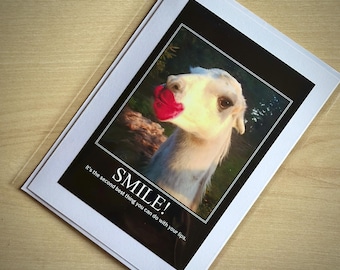 Tarjeta de llama divertida / Humor descarado, amistad, amor, animales