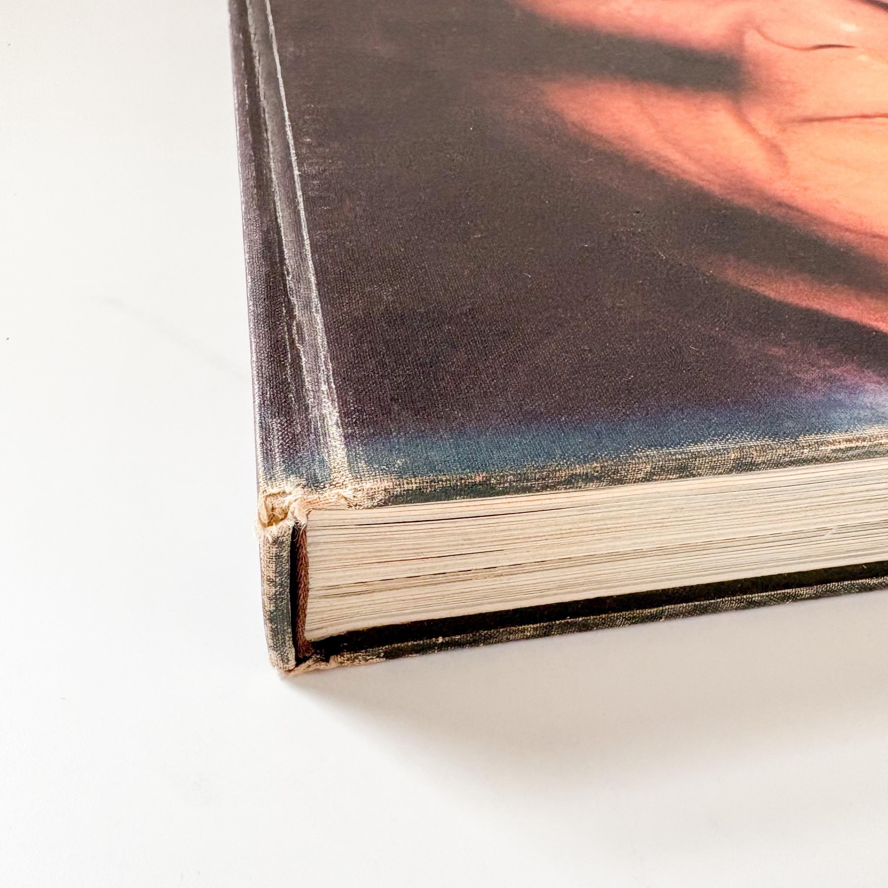 ヴィンテージ・ピカソ・アートブック：1974年回顧展、初版 - Etsy 日本