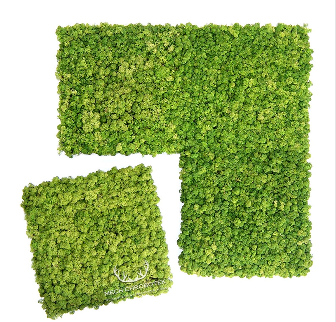 Moss Wall Panel With Moss on the Wall Light Green Etsy