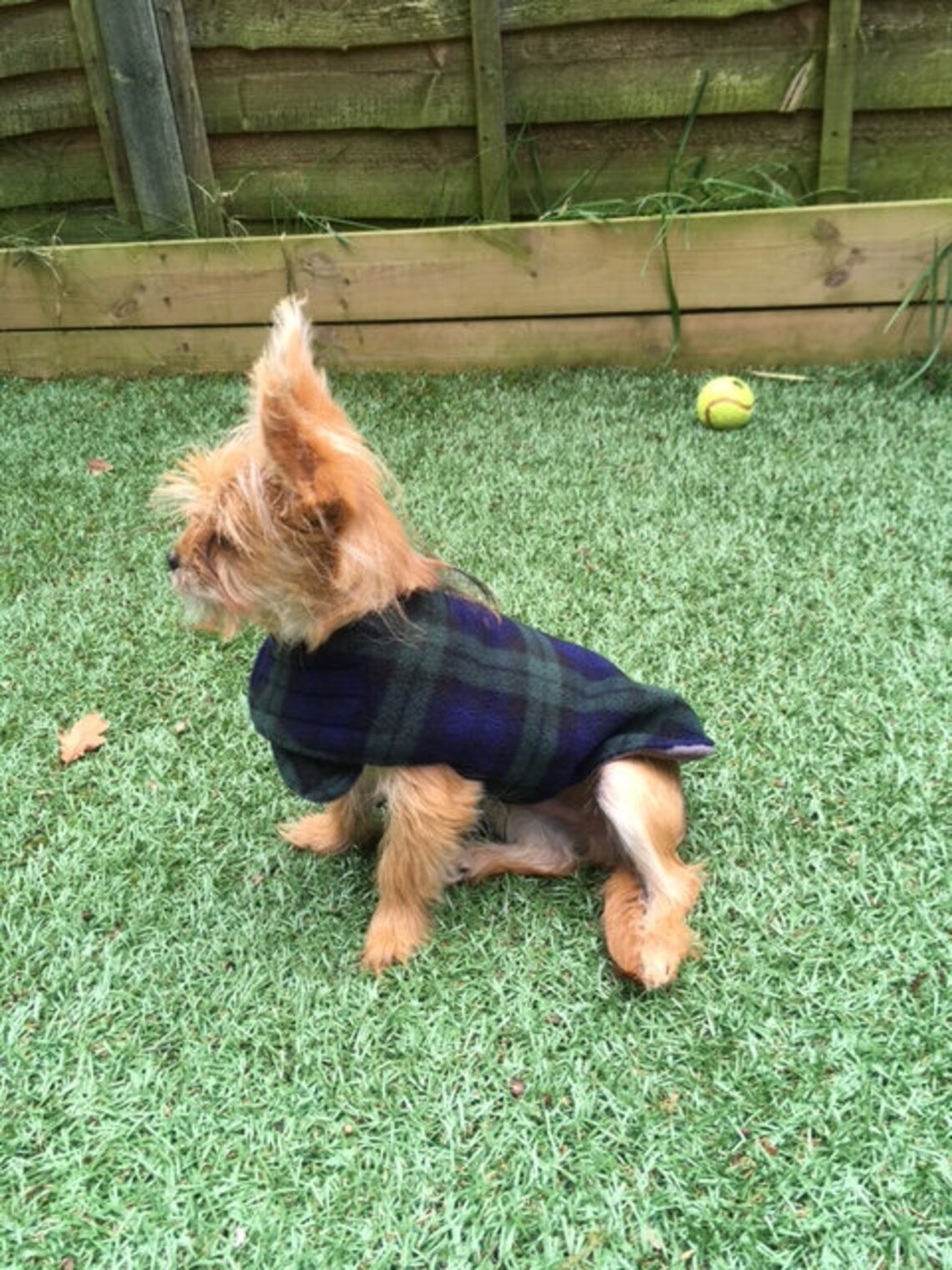 Dog coat Blackwatch Print For All Size Dogs, Fleece Dog Coat, Green Dog