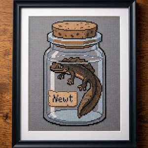 May include: Cross-stitch art of a newt in a jar, framed in black. The jar is clear with a cork lid, and the newt is brown and tan. The label on the jar reads "Newt". The background is a light gray.